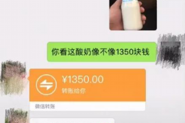 抚州抚州专业催债公司，专业催收